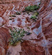 Valley Of Fire 17-1582a